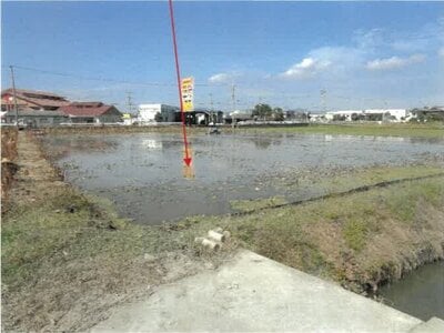 徳島県徳島市 徳島駅 農地 313万円の競売物件情報 #2
