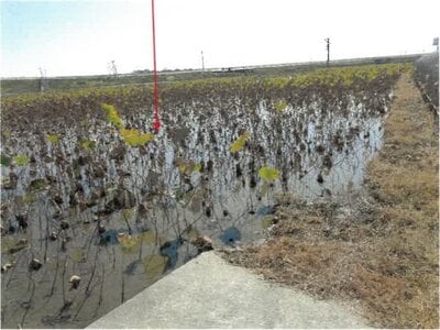 徳島県徳島市 徳島駅 農地 273万円の競売物件情報 #2