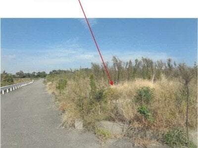 徳島県徳島市 徳島駅 農地 390万円の競売物件情報 #3