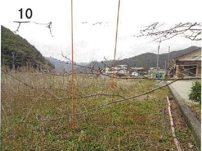 (値下げ) 愛媛県宇和島市 土地 178万円の競売物件情報 #10