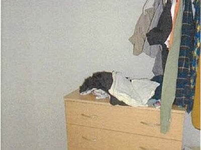 愛媛県四国中央市 伊予三島駅27分 戸建て 607万円の競売物件情報 #18