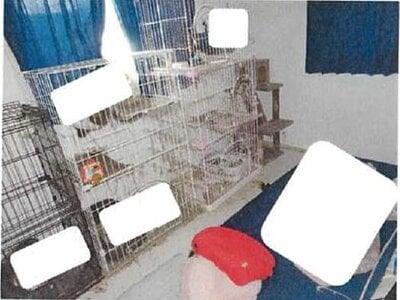 愛媛県西条市 伊予三芳駅11分 戸建て 503万円の競売物件情報 #3