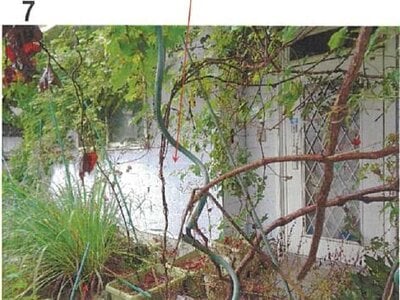 (値下げ) 愛媛県今治市 波止浜駅17分 戸建て 253万円の競売物件情報 #8