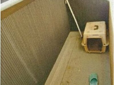 愛媛県伊予市 新川駅6分 戸建て 1,010万円の競売物件情報 #18