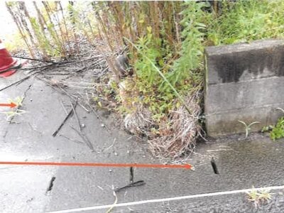 宮崎県都城市 五十市駅7分 戸建て 813万円の競売物件情報 #18