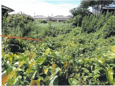 宮崎県都城市 五十市駅7分 戸建て 813万円の競売物件情報 #3