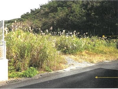 鹿児島県奄美市 土地 1,216万円の競売物件情報 #4