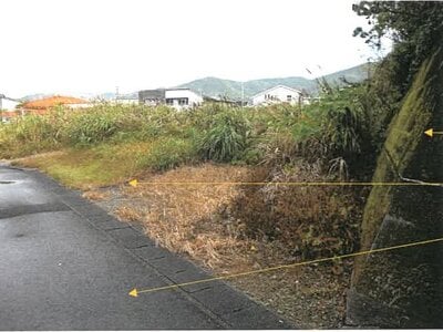 鹿児島県奄美市 土地 1,216万円の競売物件情報 #5