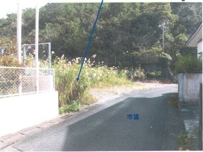 鹿児島県奄美市 土地 1,216万円の競売物件情報 #8