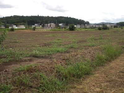 (値下げ) 栃木県芳賀郡益子町 七井駅13分 農地 36万円の国税庁公売物件情報 #2