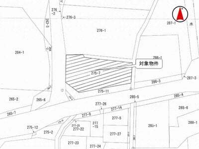 (値下げ) 埼玉県入間市 元加治駅8分 農地 2,140万円の国税庁公売物件情報 #2