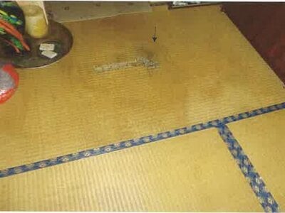 北海道札幌市東区 新道東駅3分 戸建て 2,838万円の競売物件情報 #10