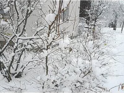 北海道札幌市清田区 福住駅 戸建て 1,417万円の競売物件情報 #5