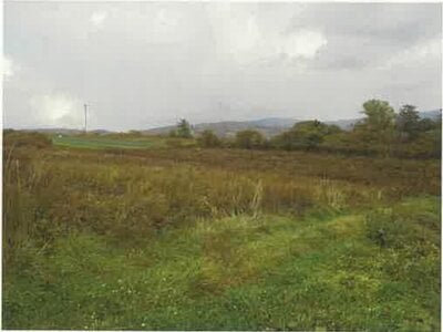 北海道伊達市 長和駅 農地 439万円の競売物件情報 #2