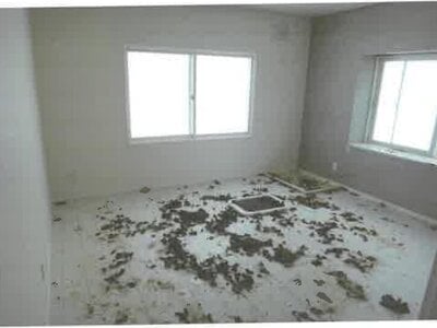 北海道旭川市 新旭川駅2分 戸建て 368万円の競売物件情報 #11