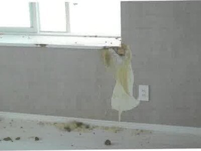 北海道旭川市 新旭川駅2分 戸建て 368万円の競売物件情報 #19