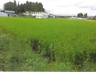 福島県南相馬市 鹿島駅 農地 157万円の競売物件情報 #10