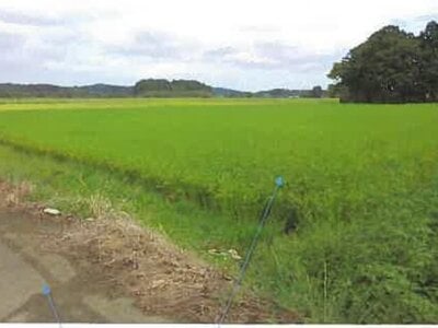 福島県南相馬市 鹿島駅 農地 157万円の競売物件情報 #11