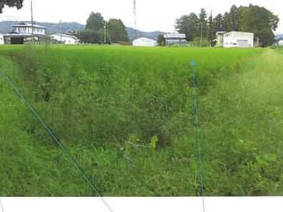 福島県南相馬市 鹿島駅 農地 157万円の競売物件情報 #15