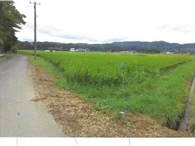 福島県南相馬市 鹿島駅 農地 157万円の競売物件情報 #4