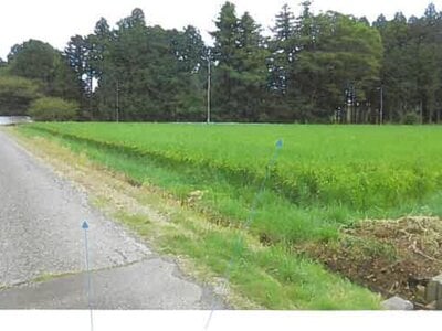 福島県南相馬市 鹿島駅 農地 157万円の競売物件情報 #5