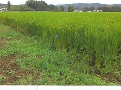 福島県南相馬市 鹿島駅 農地 157万円の競売物件情報 #8