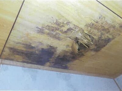 福島県南相馬市 鹿島駅 戸建て 312万円の競売物件情報 #23