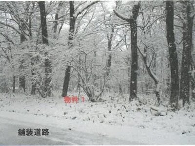 (値下げ) 栃木県那須郡那須町 土地 54万円の競売物件情報 #2