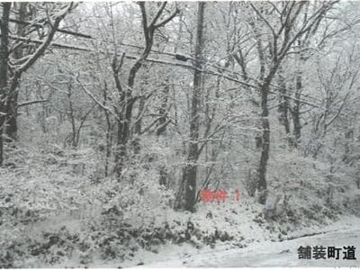 (値下げ) 栃木県那須郡那須町 土地 54万円の競売物件情報 #3