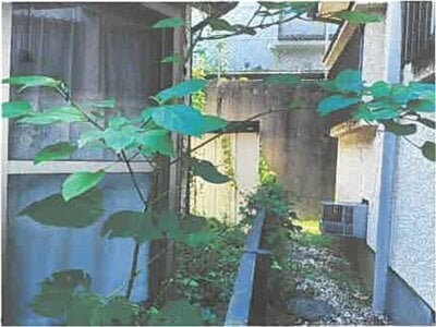 埼玉県入間市 仏子駅9分 戸建て 555万円の競売物件情報 #20