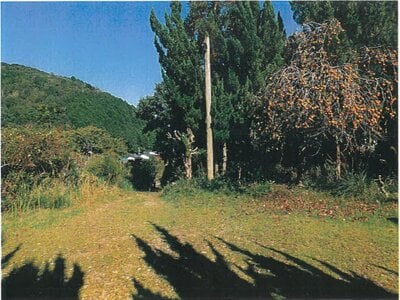 京都府綾部市 綾部駅21分 戸建て 277万円の競売物件情報 #2