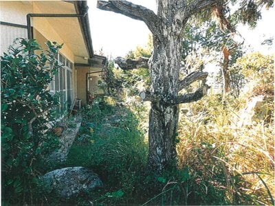 京都府綾部市 綾部駅21分 戸建て 277万円の競売物件情報 #6