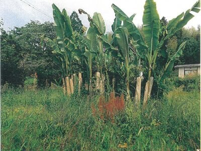 京都府綾部市 高津駅 戸建て 67万円の競売物件情報 #10