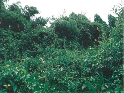 京都府綾部市 高津駅 戸建て 67万円の競売物件情報 #12