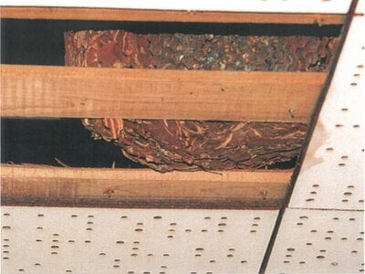 京都府綾部市 高津駅 戸建て 67万円の競売物件情報 #21