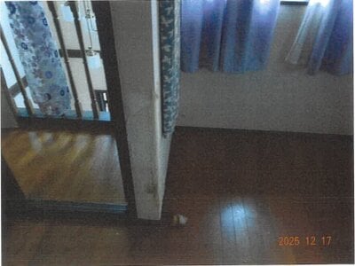 大阪府南河内郡河南町 富田林駅 戸建て 633万円の競売物件情報 #10