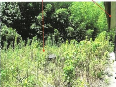 (値下げ) 高知県高知市 朝倉駅 戸建て 231万円の競売物件情報 #8