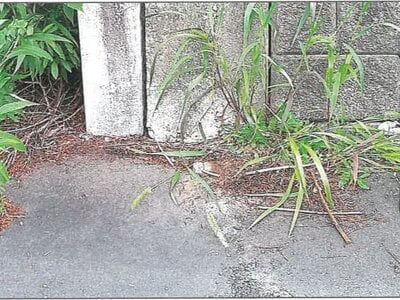 北海道帯広市 柏林台駅 戸建て 1,186万円の競売物件情報 #15