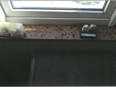 北海道足寄郡足寄町 戸建て 87万円の競売物件情報 #16