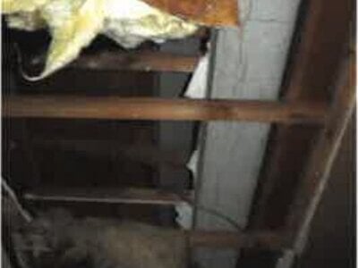 埼玉県北本市 北本駅14分 戸建て 244万円の競売物件情報 #10