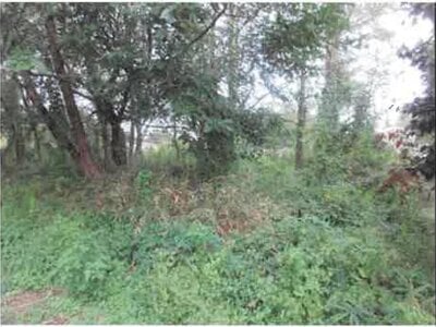 福島県西白河郡矢吹町 矢吹駅9分 土地 689万円の競売物件情報 #2