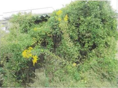 福島県西白河郡矢吹町 矢吹駅3分 戸建て 426万円の競売物件情報 #22