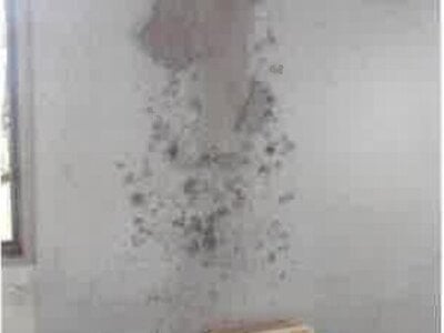 福島県西白河郡矢吹町 矢吹駅2分 戸建て 495万円の競売物件情報 #14