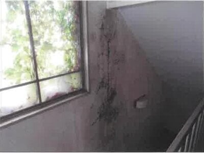 福島県西白河郡矢吹町 矢吹駅2分 戸建て 495万円の競売物件情報 #15