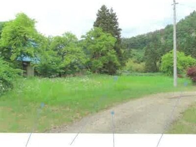 (値下げ) 福島県大沼郡会津美里町 門田駅20分 農地 29万円の競売物件情報 #5