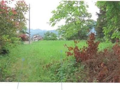 (値下げ) 福島県大沼郡会津美里町 門田駅20分 農地 29万円の競売物件情報 #6