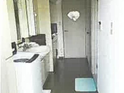 埼玉県川越市 西川越駅9分 戸建て 8,969万円の競売物件情報 #25