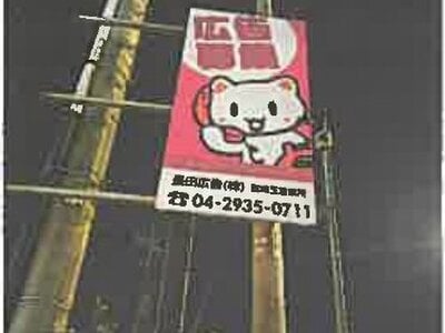 埼玉県川越市 西川越駅9分 戸建て 8,969万円の競売物件情報 #59