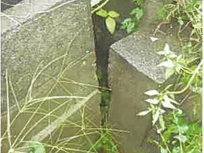 (値下げ) 埼玉県飯能市 東飯能駅15分 戸建て 477万円の競売物件情報 #10