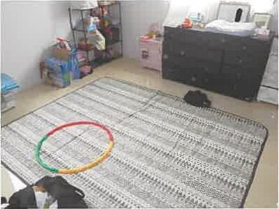 (値下げ) 埼玉県飯能市 東飯能駅15分 戸建て 477万円の競売物件情報 #5